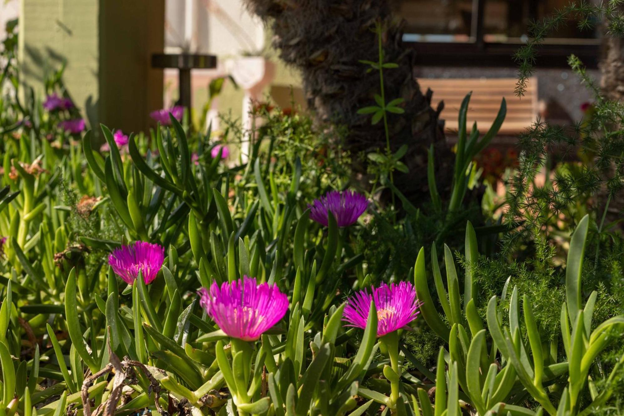 Riva Etrusca Hotel