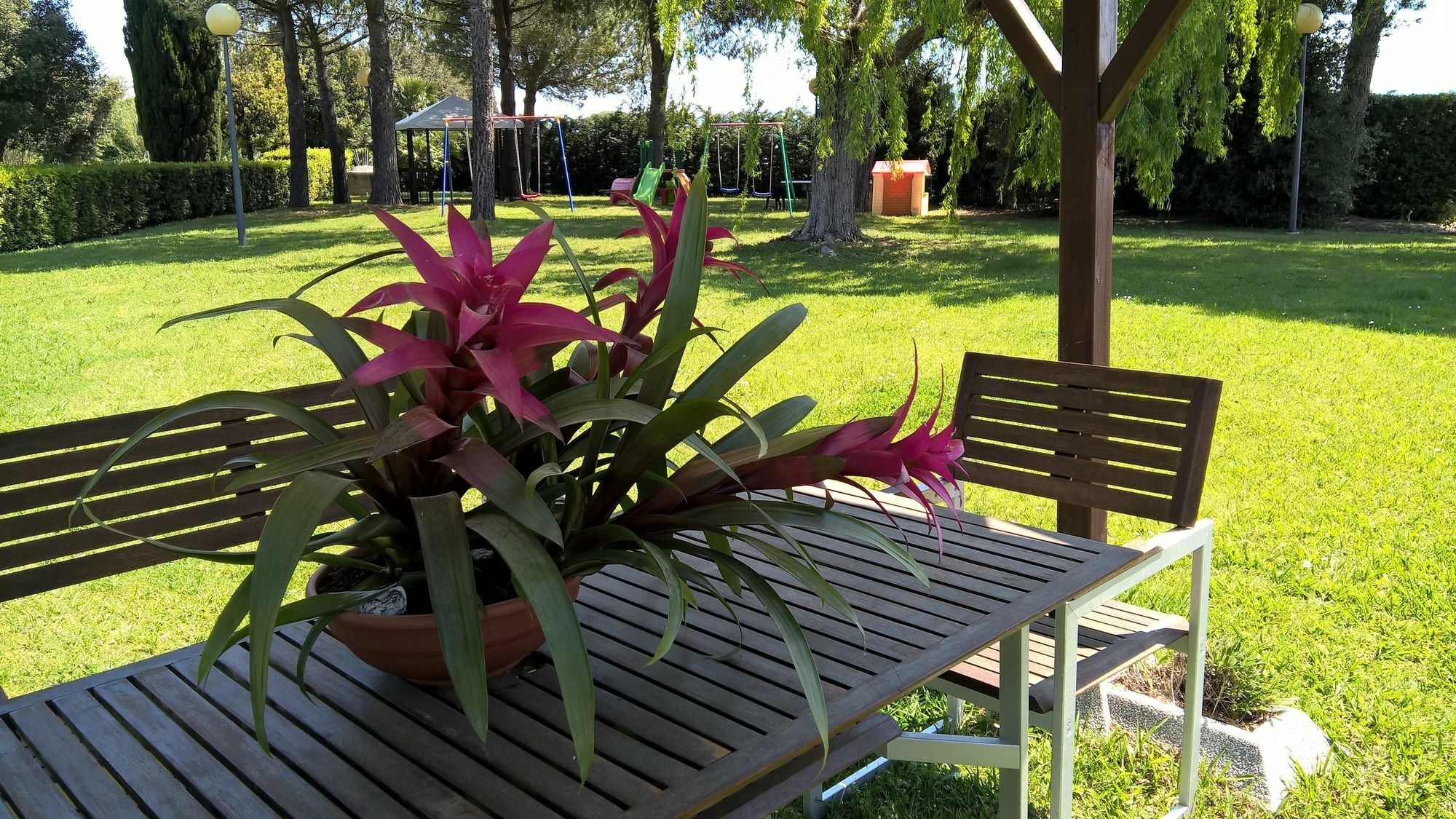 Riva Etrusca 3* Marina Di Bibbona